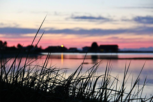 grass-sunset-lake-ocean-beach-view-samish-island-mindfulness-meditation-retreat-seattle-bellingham-skagit