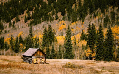 The Value of RetreatAn article by Tim BurnettAugust 2021