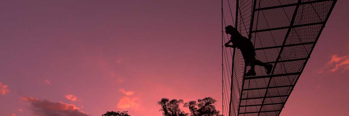 hanging-bridge-sunset-selva-verde-lodge-costa-rica-mindfulness-meditation-retreat Looking up at the hanging bridge, we see the silhouette of a human, watching the incredibly purplish pink sky with a smattering of clouds at sunset.
