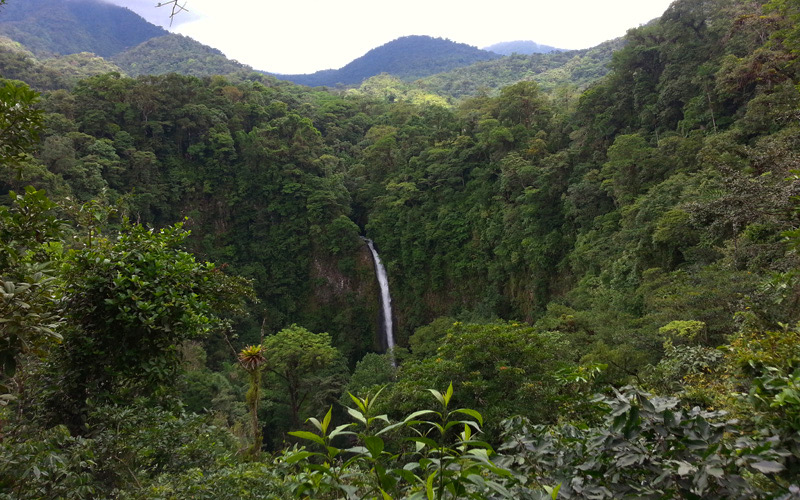 waterfall-costa-rica-mindfulness-meditation-retreat-selva-verde-sarapiqui A waterfall cascading down from a lush forested hillside.