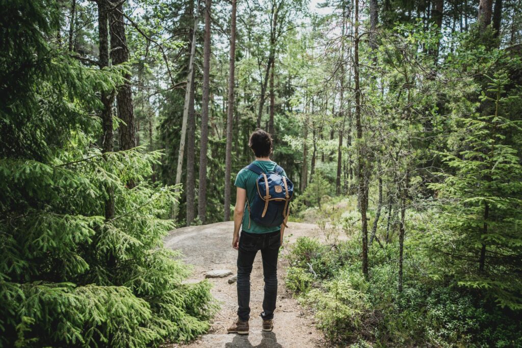 Man with back to camera on wooded trail