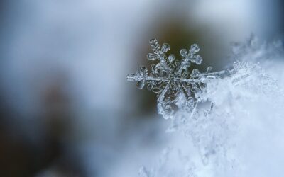 The Inner CriticAn article by Tim BurnettDecember 2022