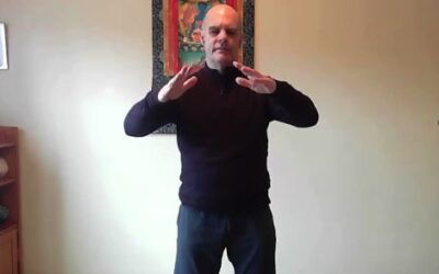Mindful Movement with Qigong – LearningTim Burnett - 22 minute instructional video