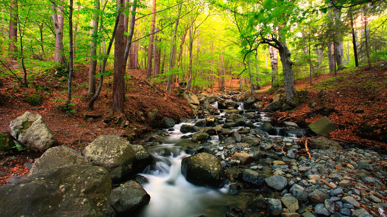stream image