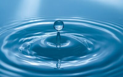 All of You is Welcome: Finding Myself in the Mindfulness ClassroomAn article by Ellen Zocher | April 2024
