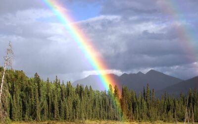 Where the Spirit Meets the Bone ~ Carolyn McCarthyArticle by Carolyn McCarthy | June 2025